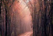 仪器类别通用专用有哪些分类,仪器类别是什么意思