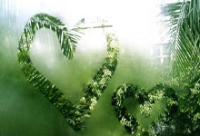 产品展示模板免费,产品展示模板免费版