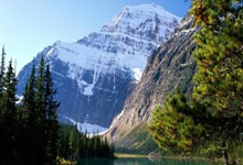 产品展示设计模板范文,产品展示效果图图片欣赏