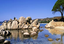 小米公司新闻动态,小米集团重大新闻